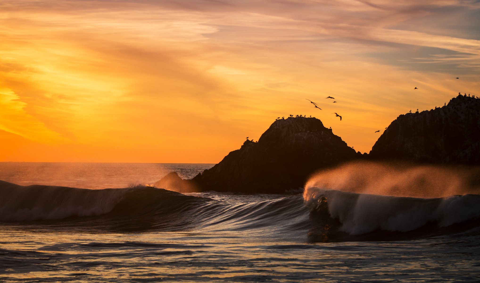 californie san francisco coucher de soleil océan plage vagues oiseaux