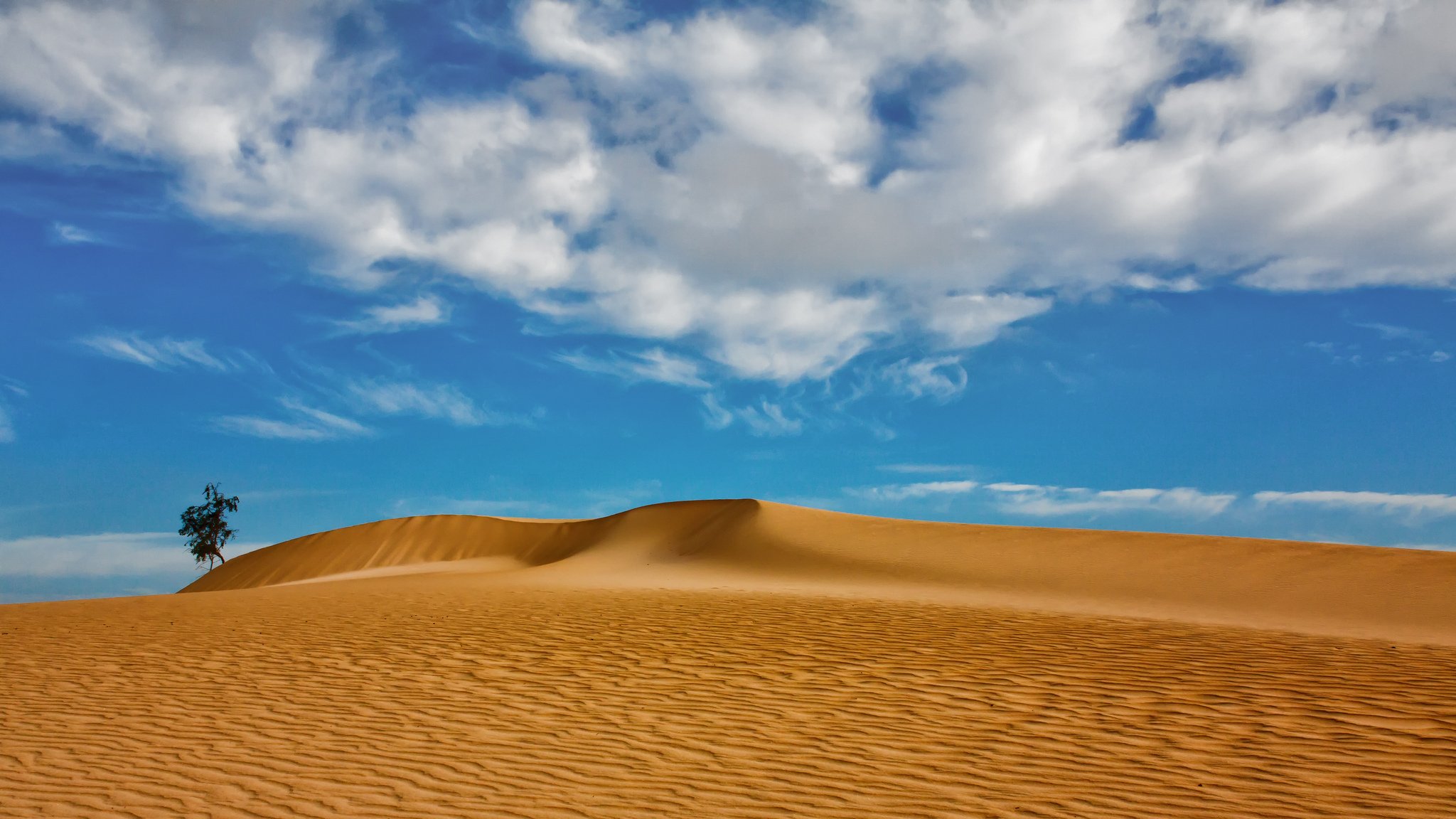 îles canaries espagne dunes sable nuages bois