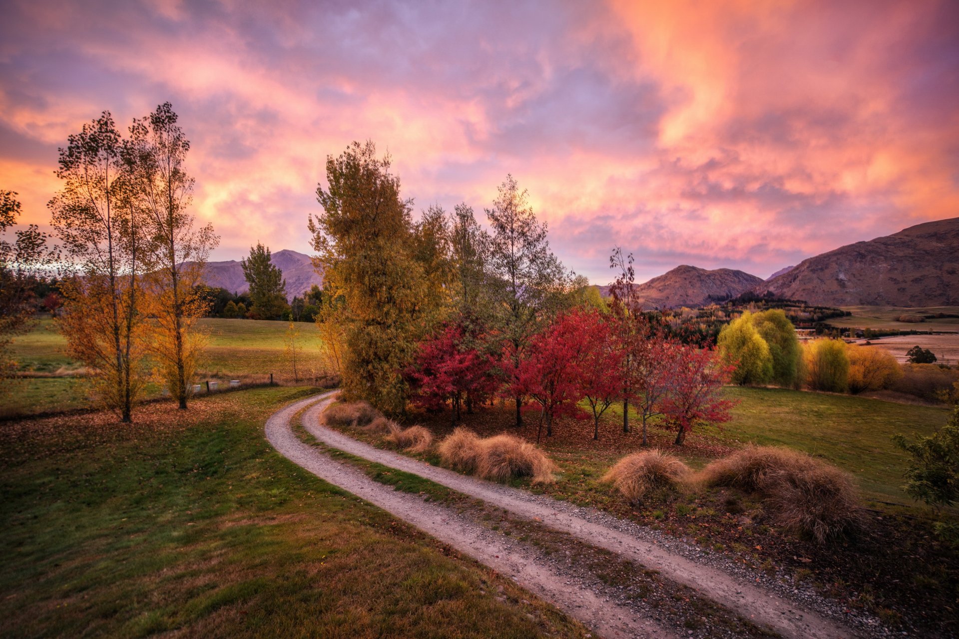 new zealand mountain hills road autumn morning