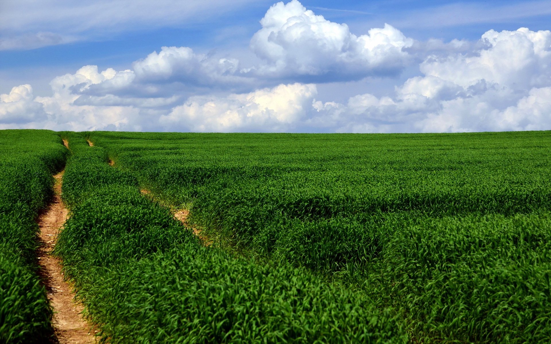 feld straße landschaft