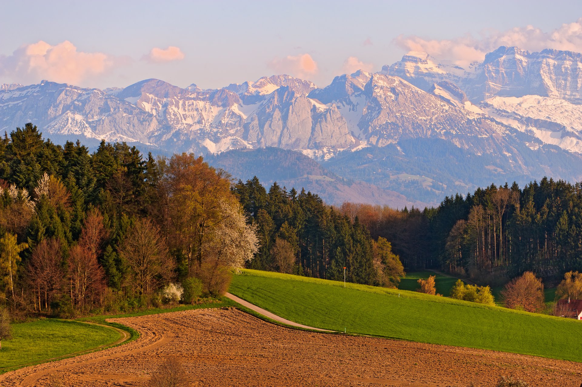 schweiz feld bäume berge