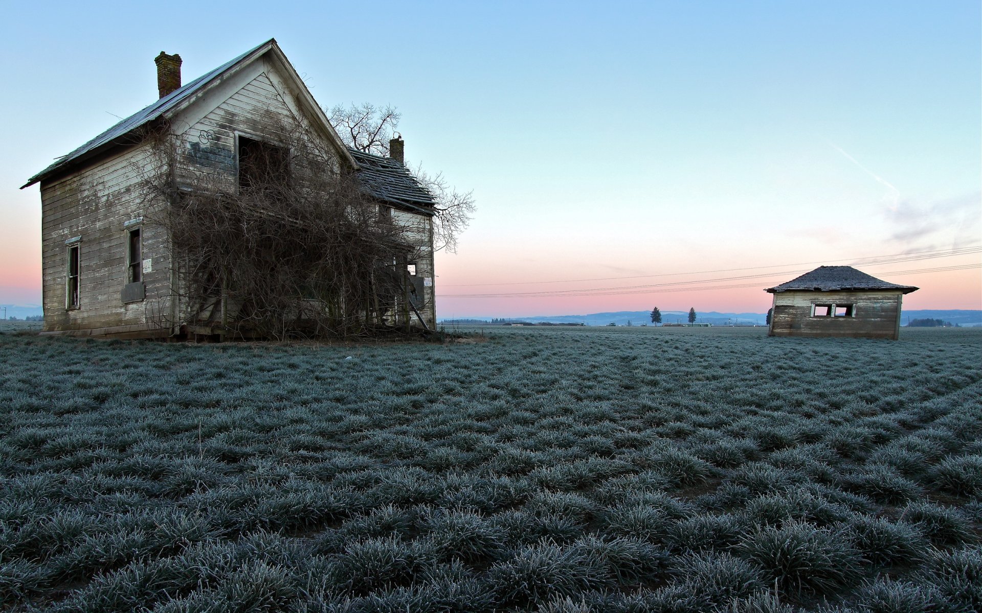 champ maison paysage couleur