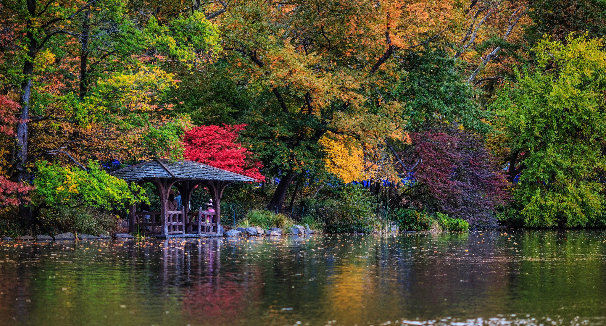 central park new york city see laube herbst bäume