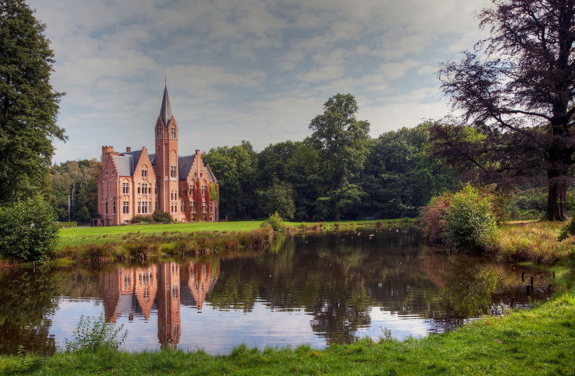 bosque lago castillo