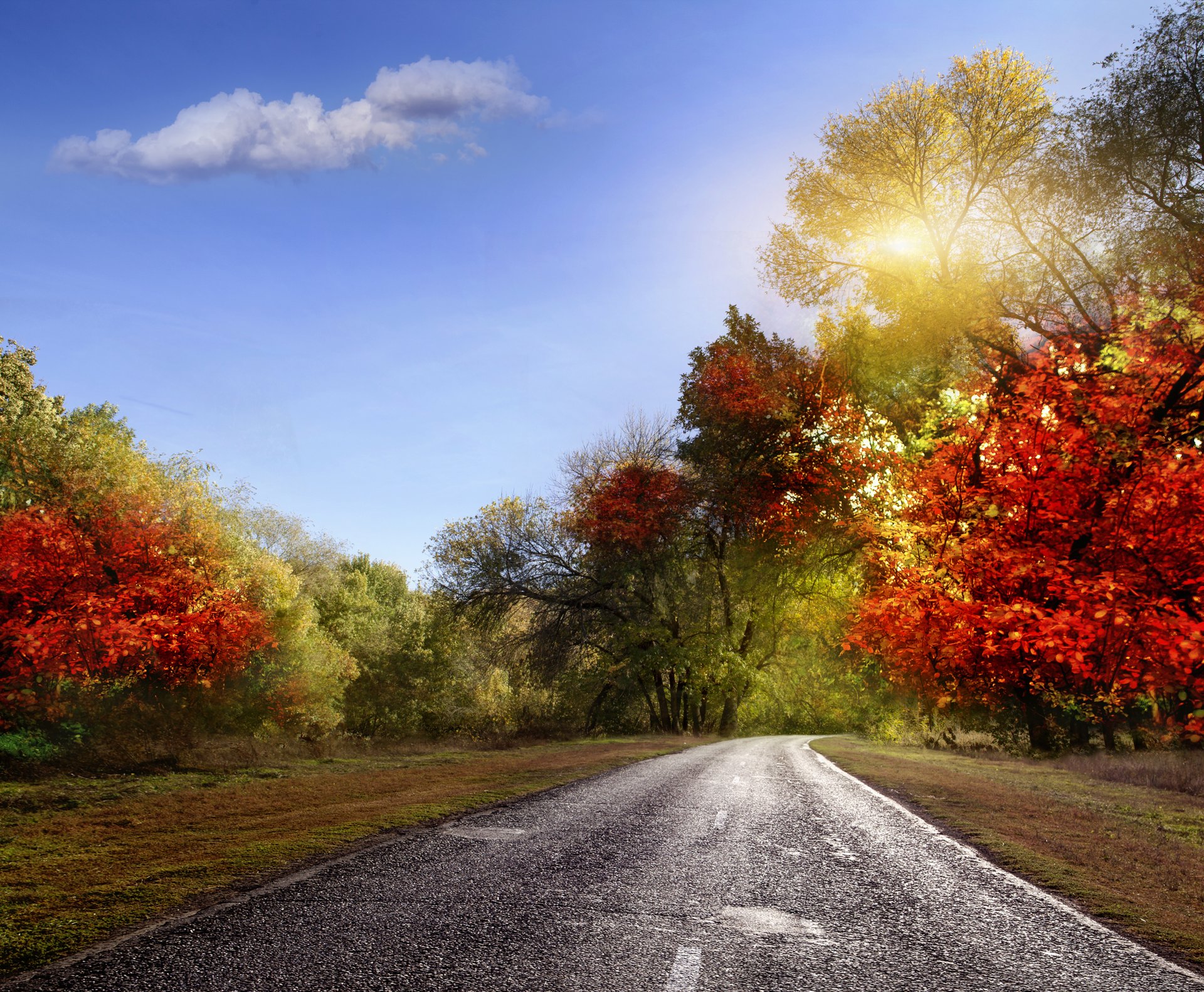 paisaje naturaleza otoño hojas colorido camino rayos cielo