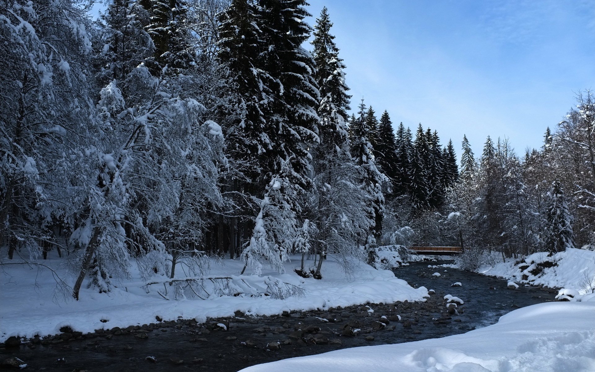 foresta fiume inverno natura