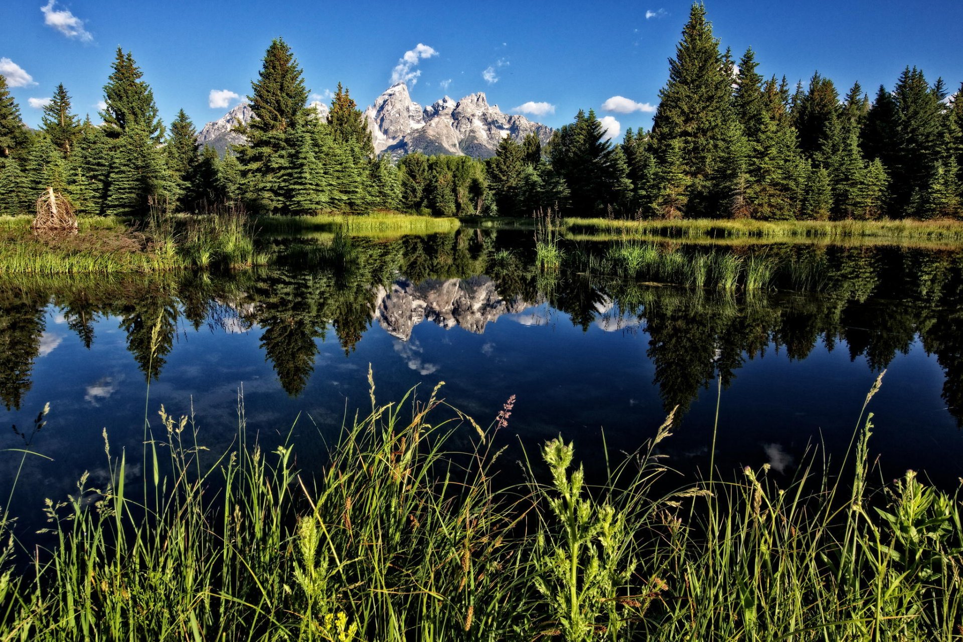 park narodowy teton wyoming jezioro las góry