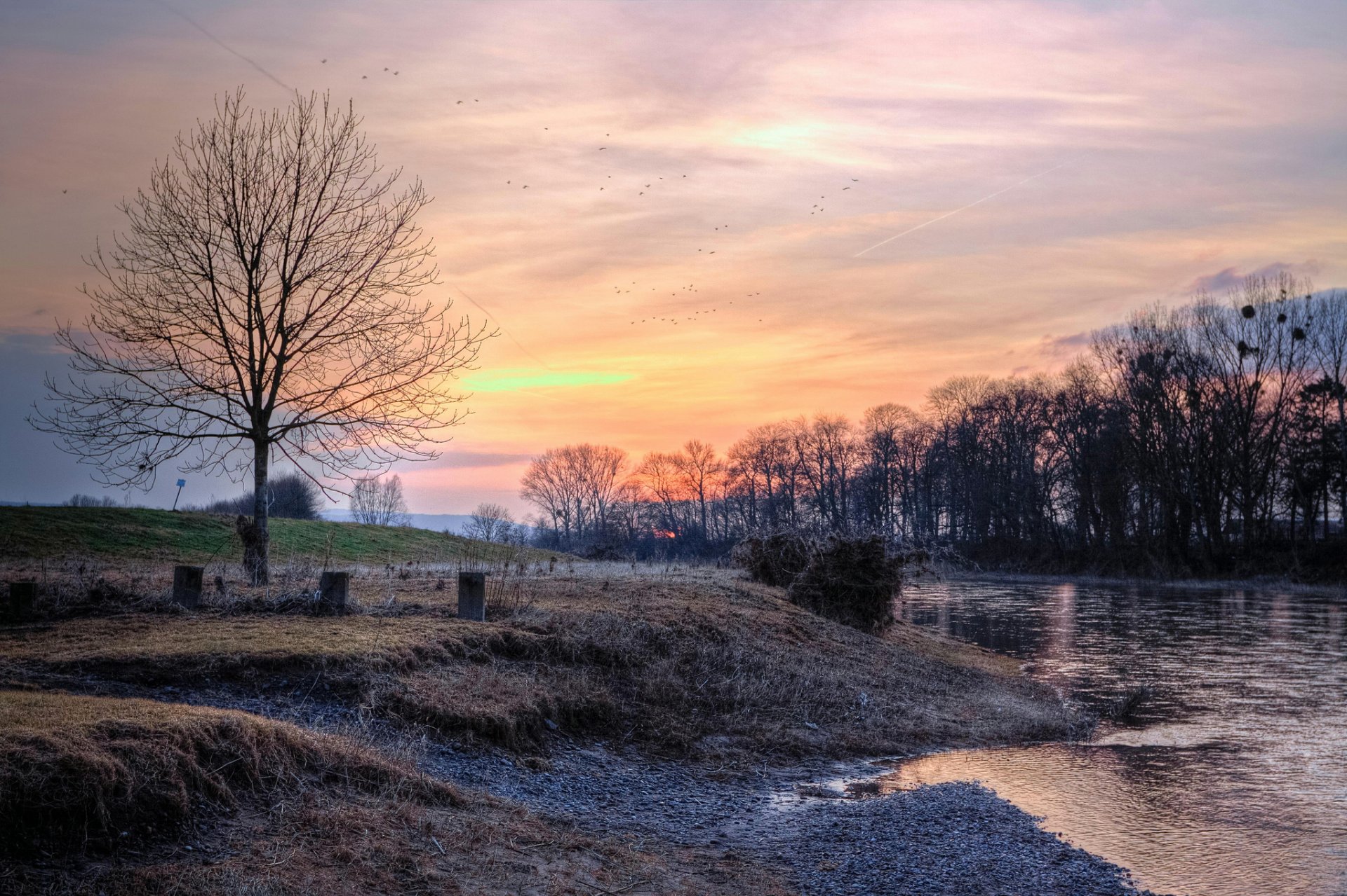 fluss bäume frost sonnenuntergang vögel