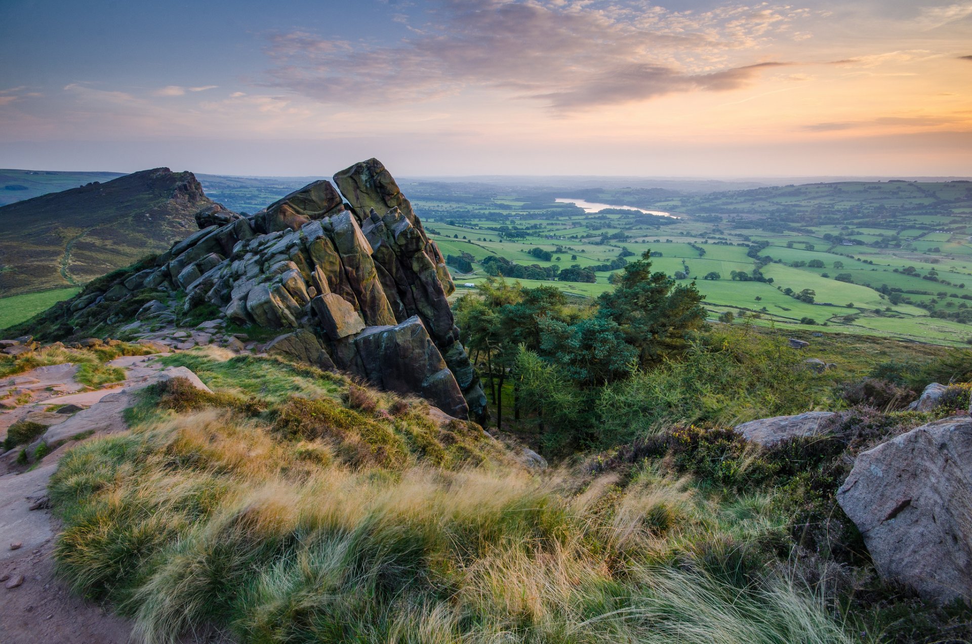 rock grass of the field morning dawn