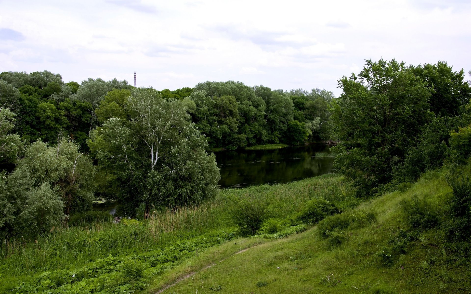 ukraine sloboschanschtschina seversky donets fluss weg bäume gras