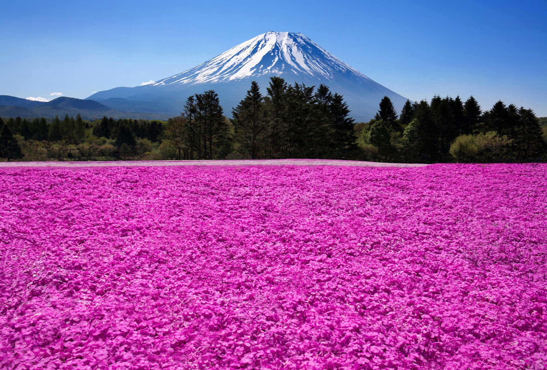 giappone fuji vulcano montagna natura