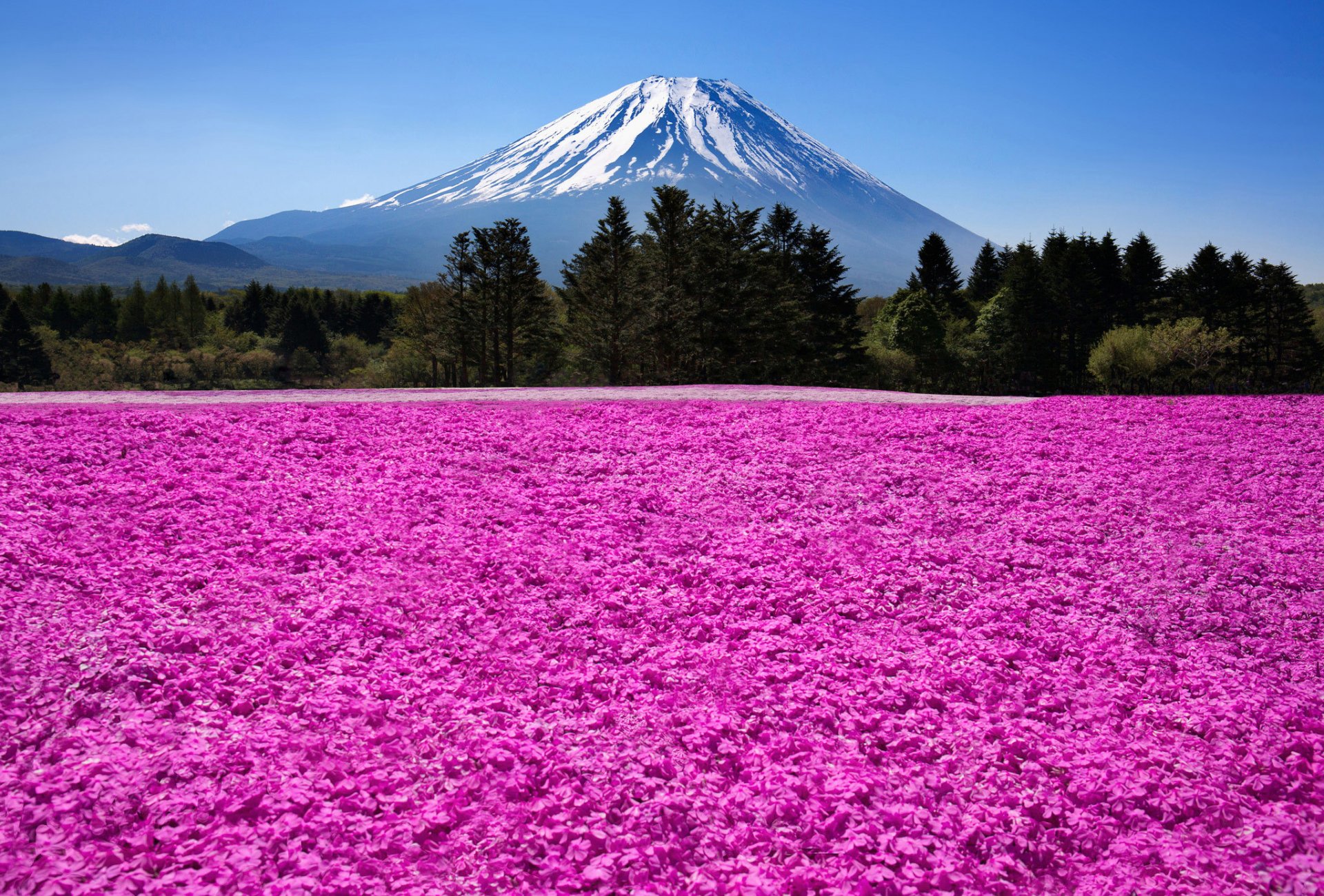 japón fuji volcán montaña naturaleza