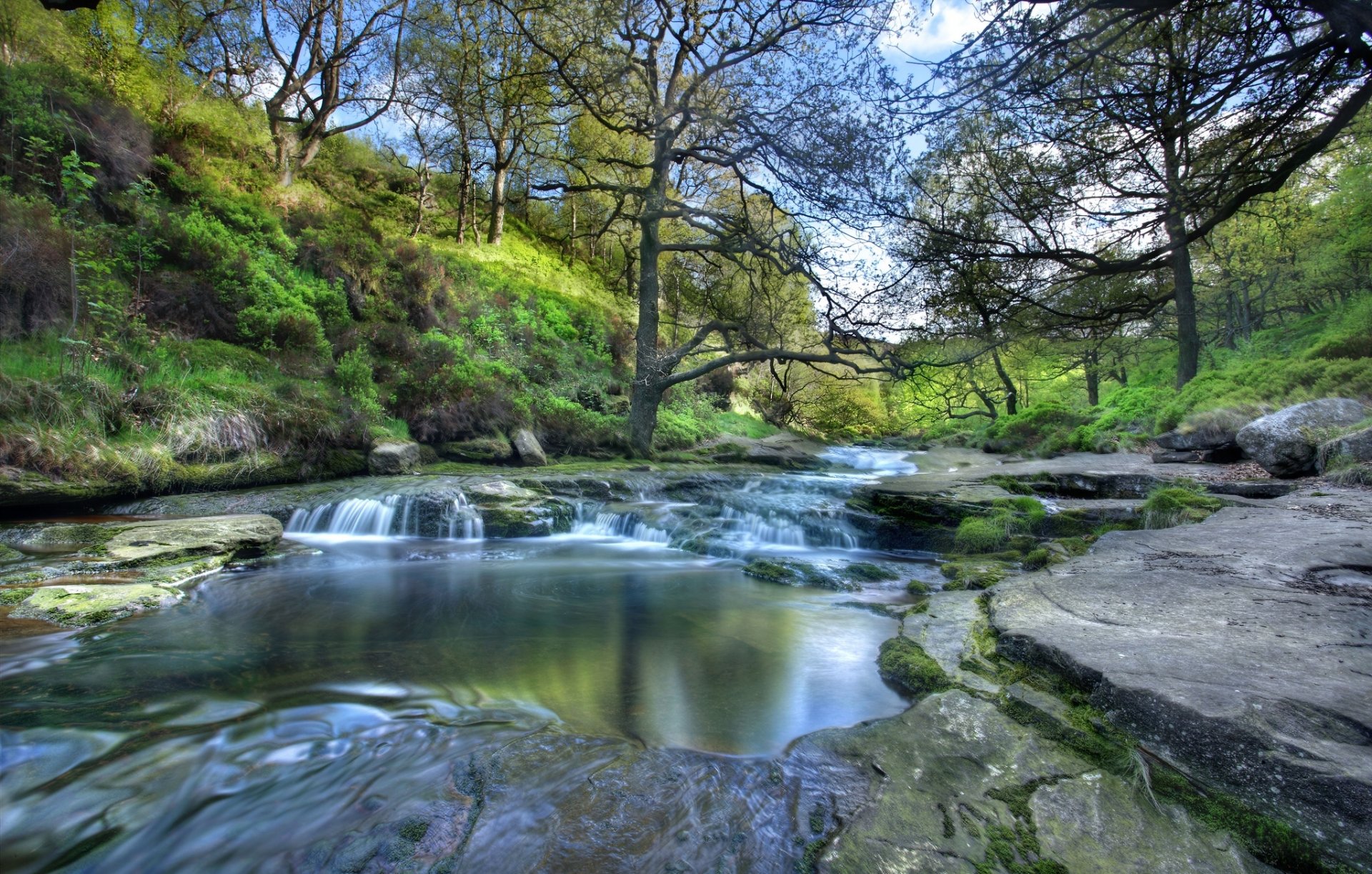 peak district national park england national park the peak district river tree slope