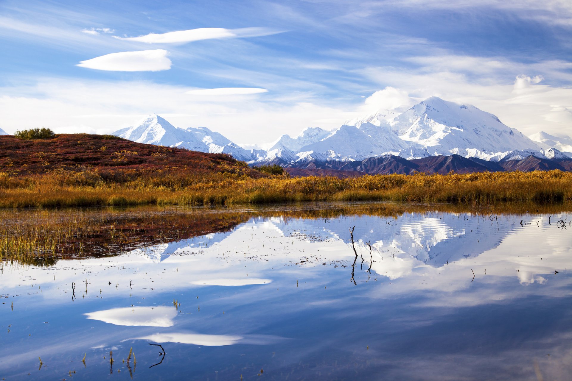 alaska denali national park mount mckinley lake reflection