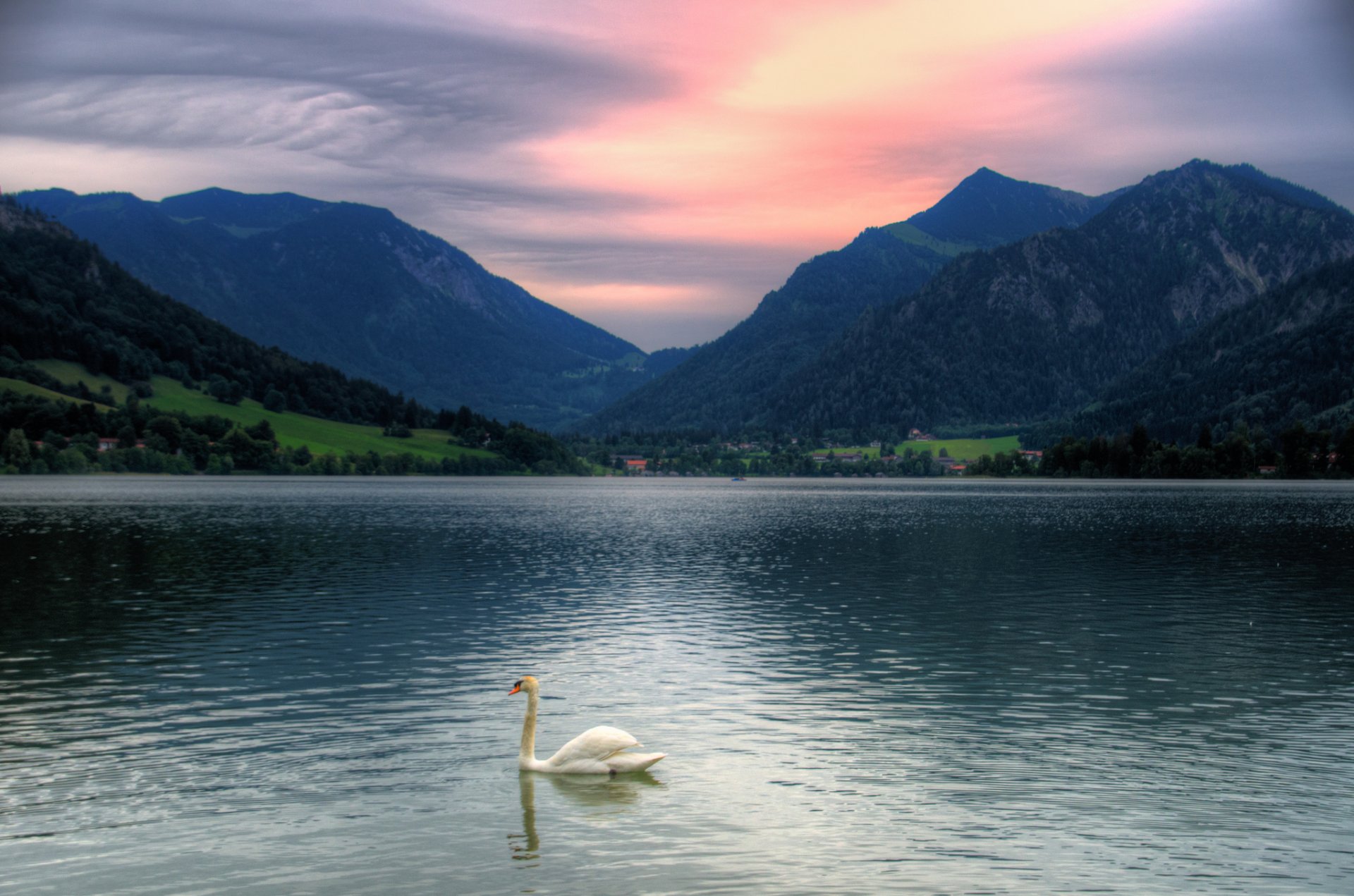 baviera tegernsee lago cisne montañas puesta de sol