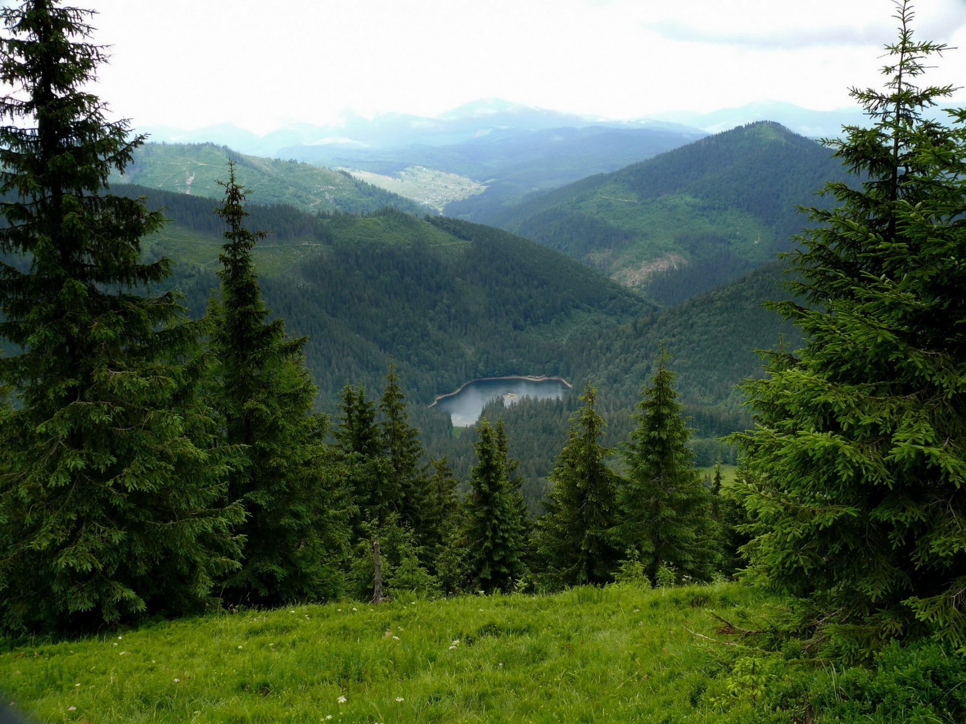 ukraine zakarpattia sinevir lake carpathian mountains mountain spruce nature