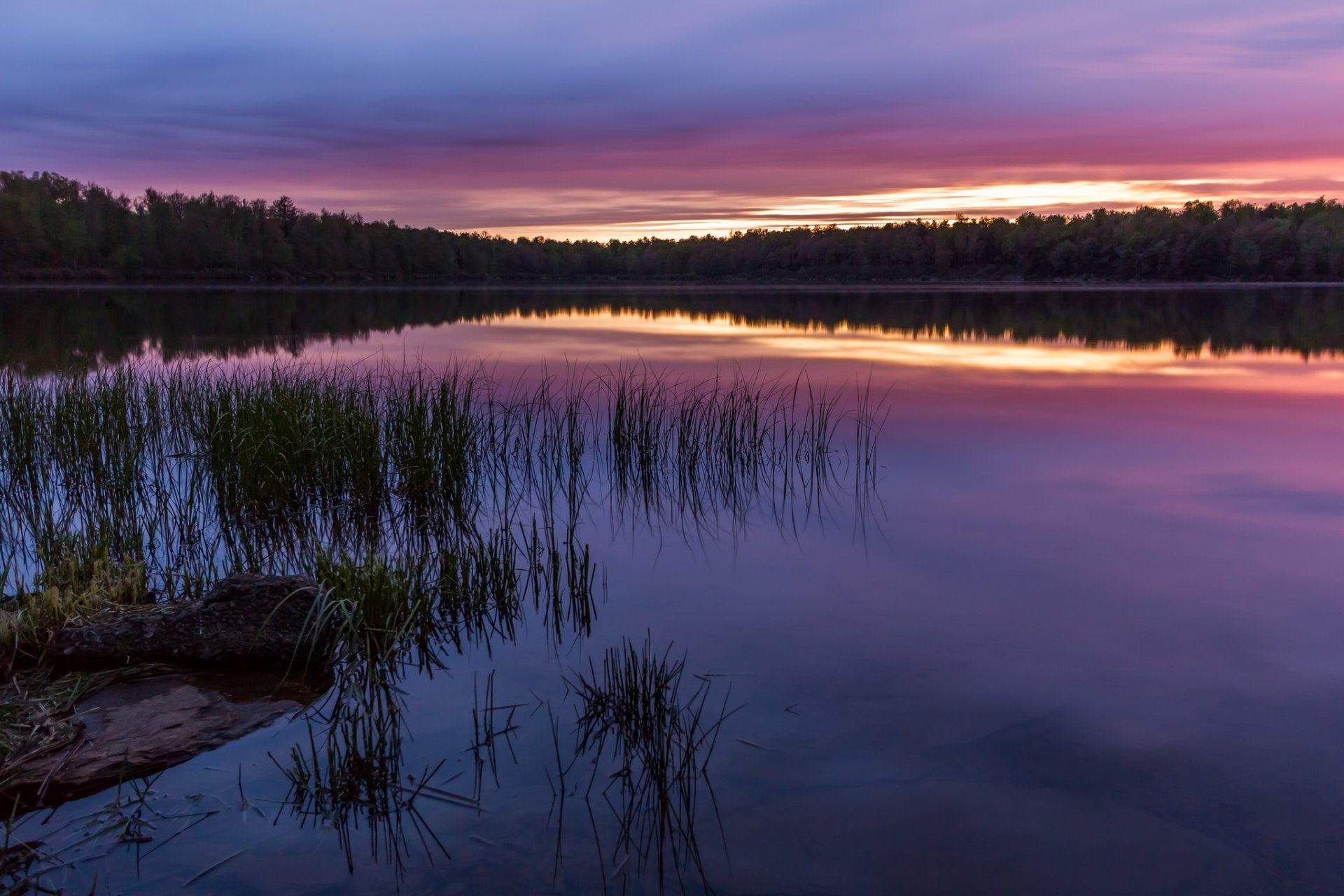 stati uniti pennsylvania parco nazionale fiume riva erba alberi foresta sera tramonto cielo riflessione