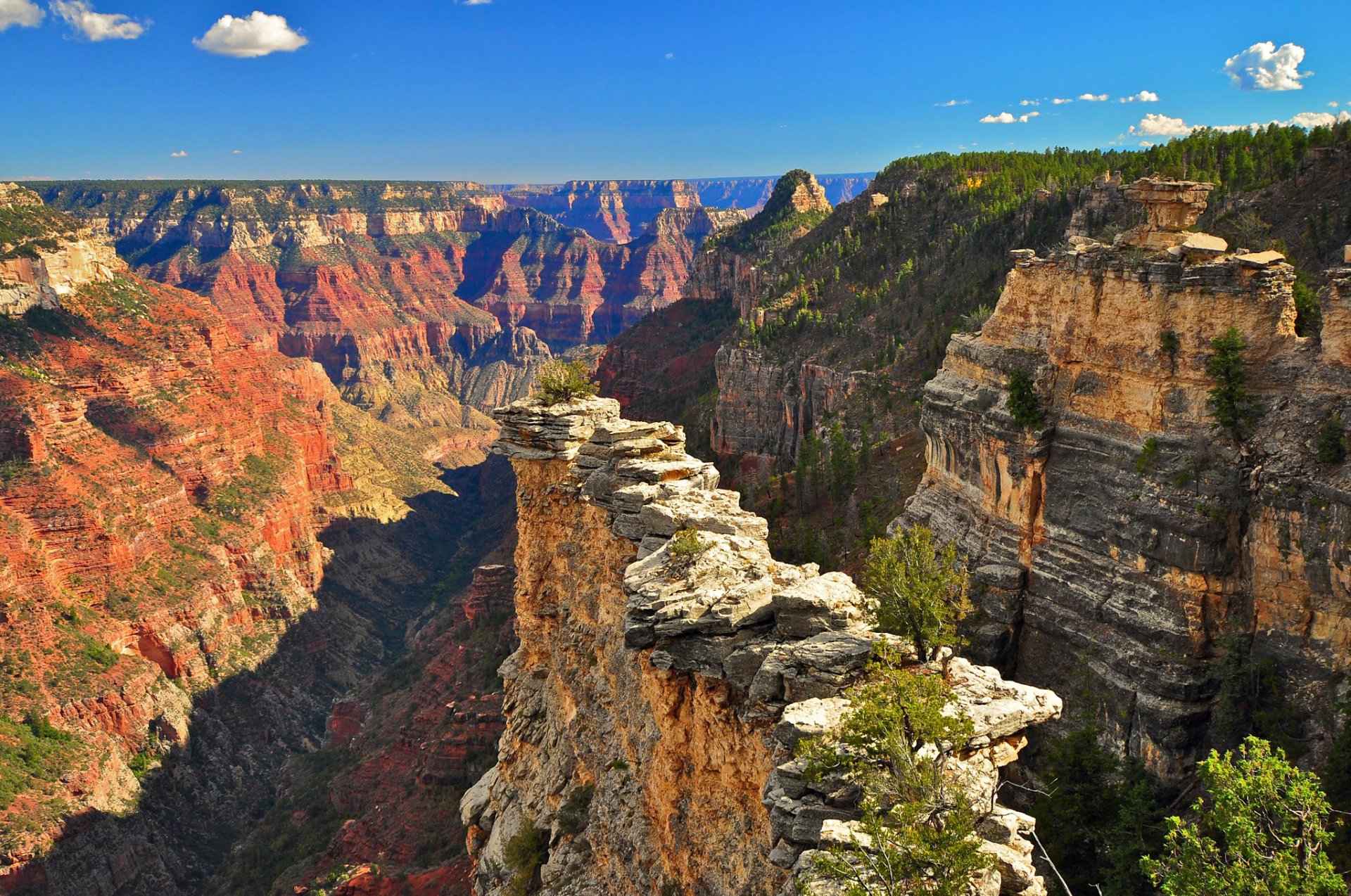 grand canyon nationalpark usa himmel wolken berge schlucht bäume