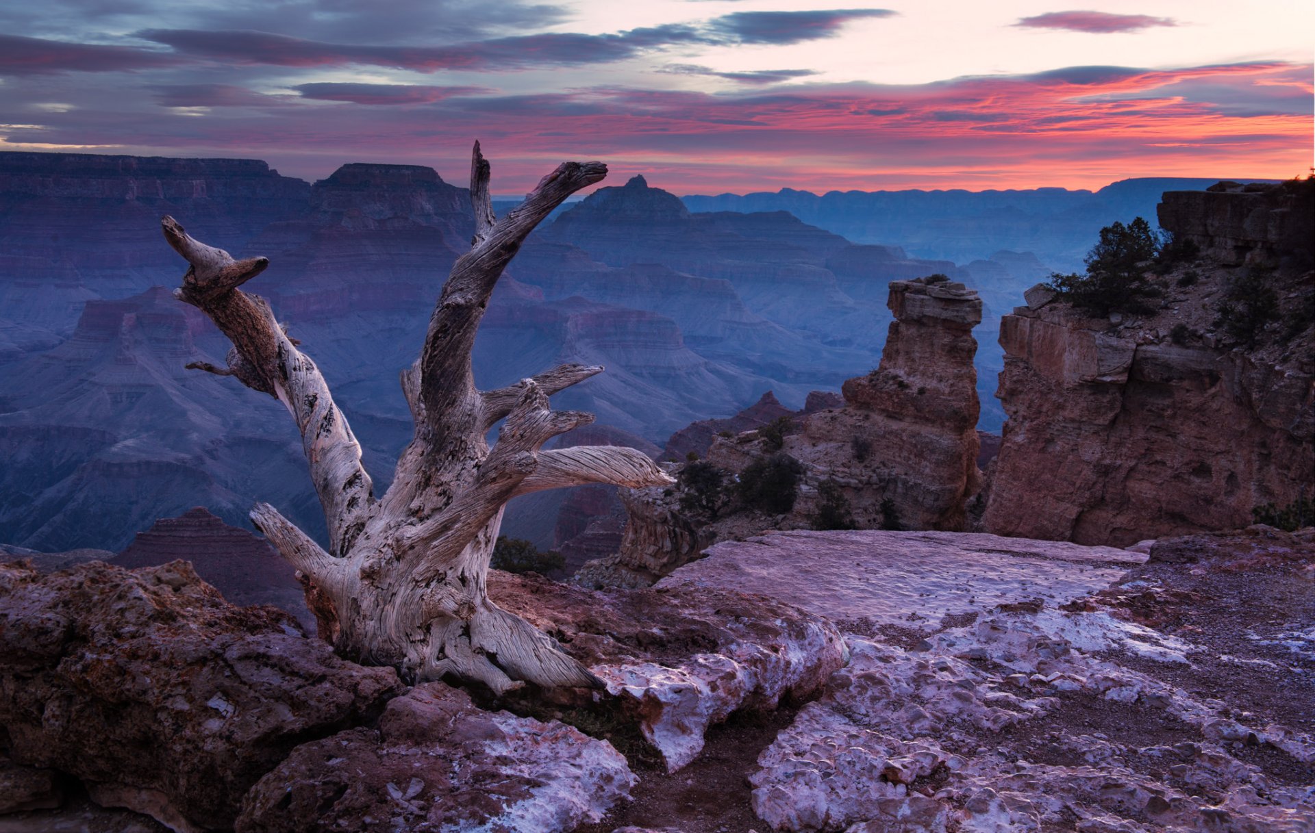 usa canyon felsen steine treibholz himmel wolken