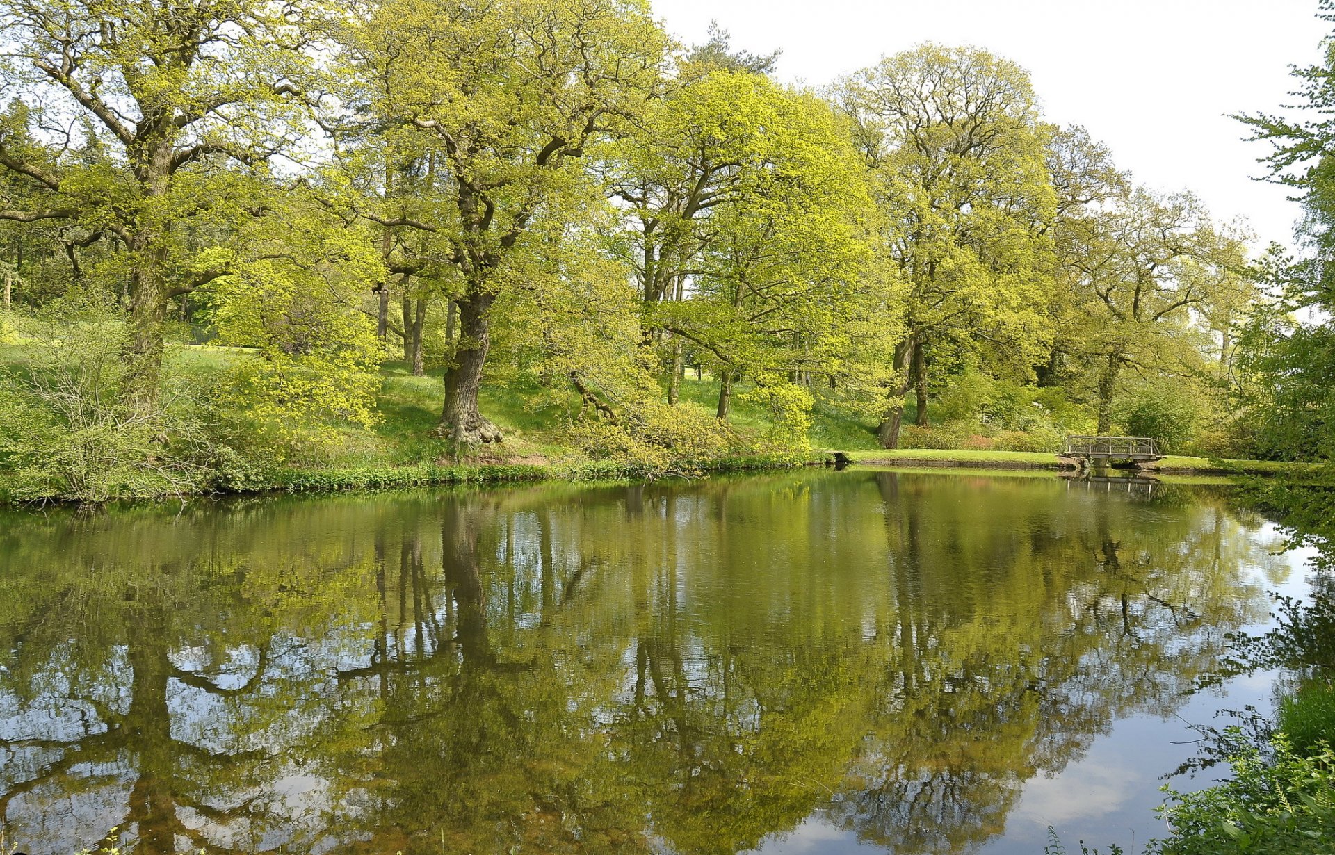 park rzeka drzewa most wiosna zieleń