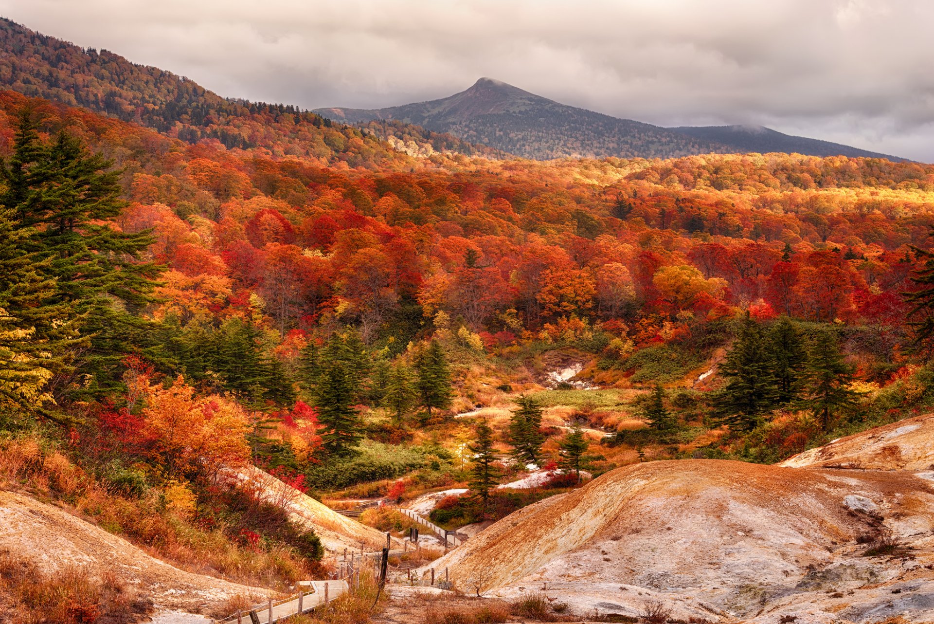 japan akita prefecture mountains shirakami forest beech autumn