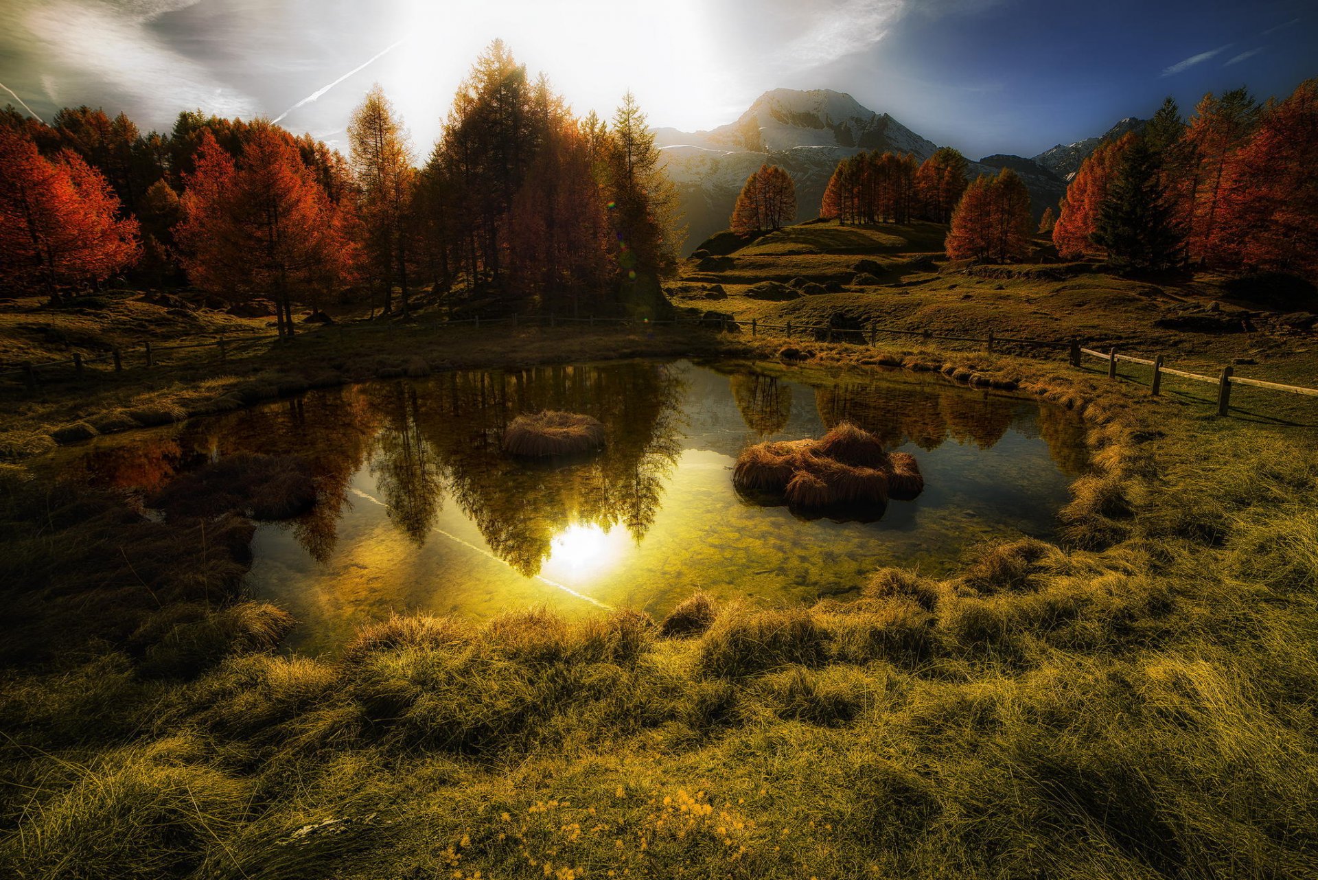 autumn gold tree mountain sun reflection