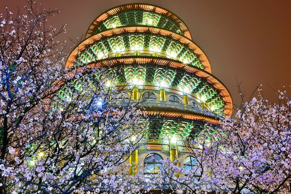 Night lights of a building in cherry blossoms