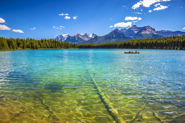 Recreation and fishing on the lake summer