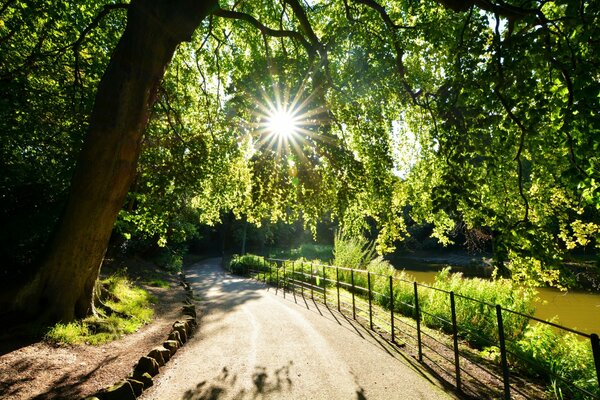 Die Straße entlang des Seeufers mit sommerlichen Sonnenstrahlen durch das Laub der Bäume