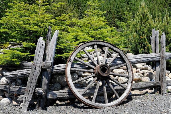 Roue ancienne près d une clôture cassée