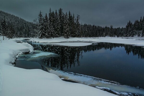 Lake in the winter forest