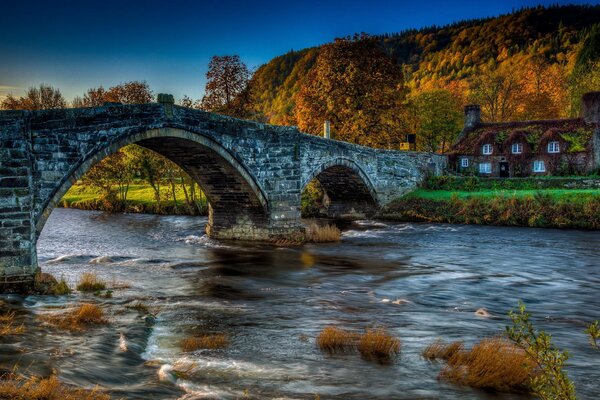 Bosque de otoño con puente sobre el río