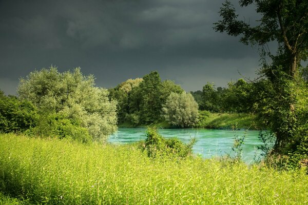 Hohes grünes Gras und blauer Fluss