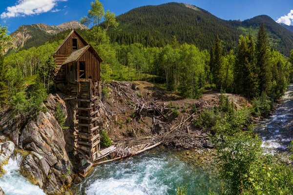 Molino de agua en el río del bosque