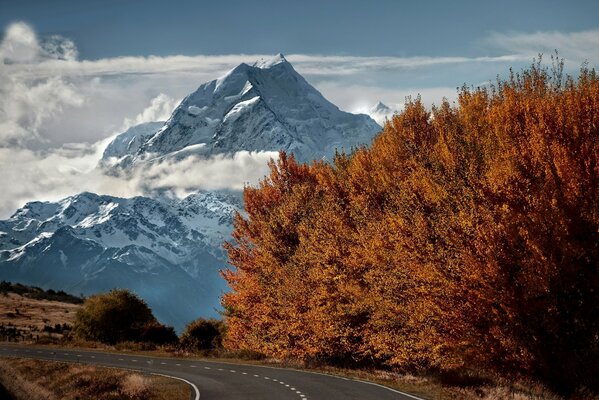 Fogliame autunnale sullo sfondo di strade e montagne tra le nuvole