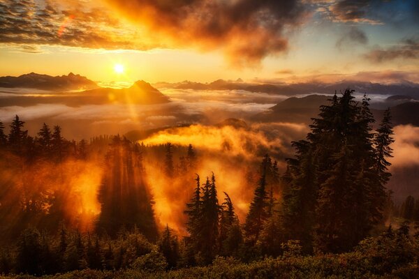 Los rayos del sol sobre las montañas y el bosque de abetos al atardecer