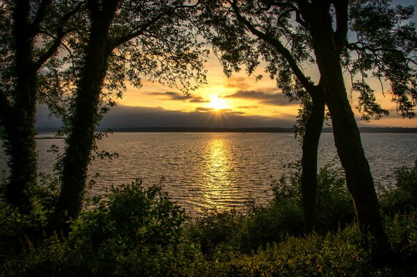 Coucher de soleil et horizon entre les arbres