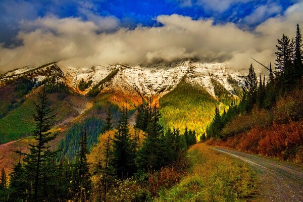 The road to the most beautiful corner of nature