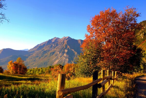 Autumn mountain landscape against the sky