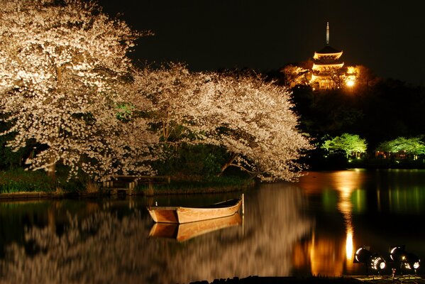 Paysage de nuit. Fleurs de cerisier sur le lac