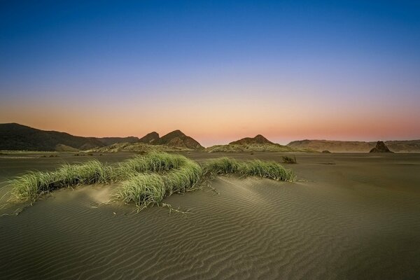 Wind sand ripples horizon in pink