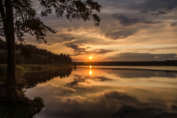 Reflection of the setting sun on a forest lake