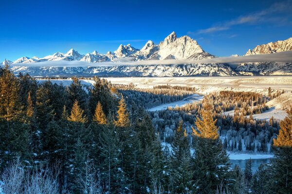 Fantastische schneebedeckte Berggipfel und Wald