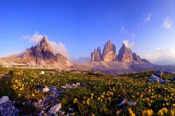 Rocky peaks pointed nature stones flowers