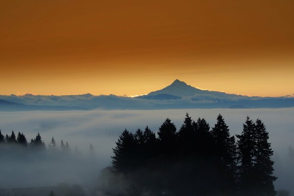 Trees and sunset over the mountain top