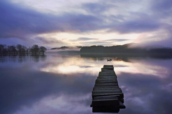 Magic fog on the lake