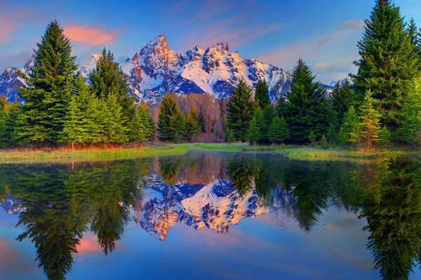 Riflessione di alberi e montagne nell acqua