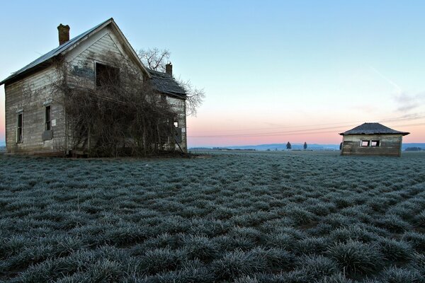 Verlassenes Haus in einem trockenen Feld