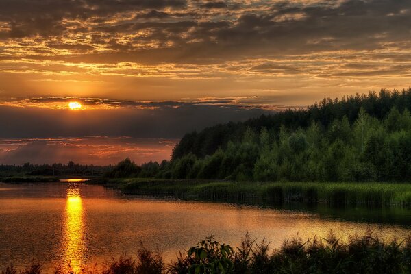 Puesta de sol en el bosque de verano sobre el río