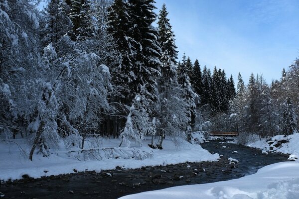 The winter river flows lazily